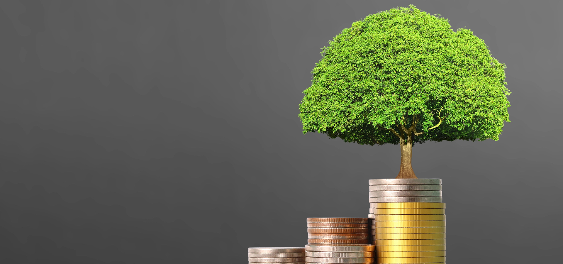 Neka vaše poslovanje raste s nama